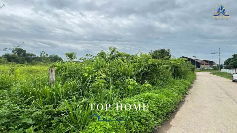 ขายด่วน! ที่ดินแปลงสวย ทำเลดี ตำบลทรายขาว อำเภอพาน จังหวัดเชียงราย, Chiang Rai, Sai Khao, Phan, Chiang Rai, , 4,432 sqm, Land For Sale, by คุณบัส, 500427462 - DDproperty.com
