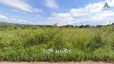 ขาย - ขายด่วน! ที่ดินแปลงสวย ทำเลดี ตำบลทรายขาว อำเภอพาน จังหวัดเชียงราย, เชียงราย