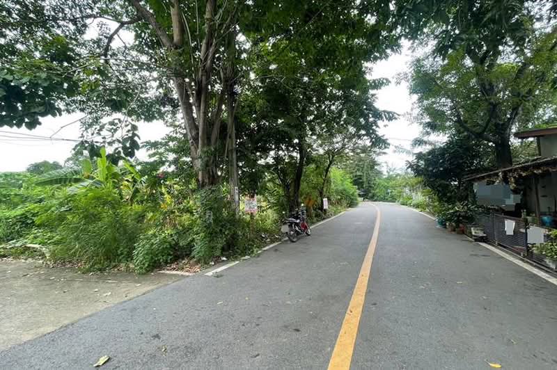 บางกรวย - ไทรน้อย ซอยบางเลน 1, Nonthaburi, ถนนบางกรวย-ไทรน้อย, Bang Len, Bang Yai, Nonthaburi, , 3,660 sqm, Land For Sale, by คุณหนึ่ง, 500427479 - DDproperty.com