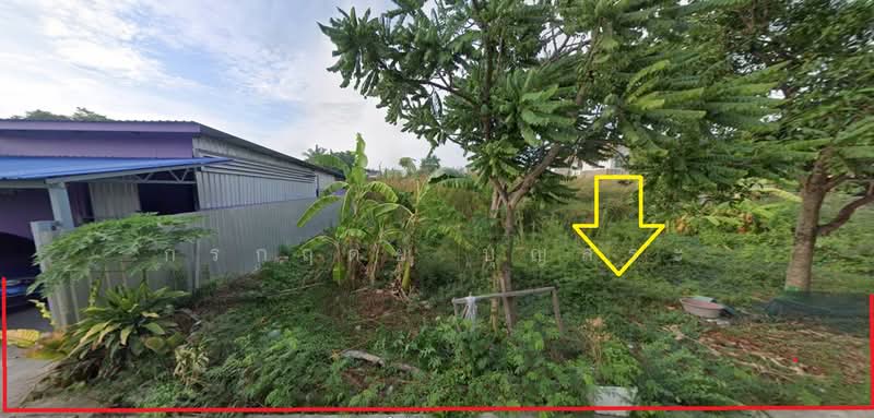 ที่ดินเปล่า จัดสรรหมู่บ้านสวัสดิการ 3 ซอยเพชรเกษม 77 แยก 4 - 7 ถนนเพชรเกษม, กรุงเทพ, เพชรเกษม 77, หนองแขม, กรุงเทพ, 280 ตร.ม., ที่ดิน ขาย, โดย กรกฤตย์ บุญสระ, 500427564 - DDproperty.com