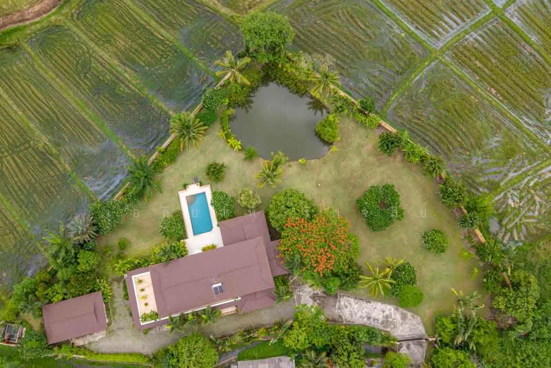 Mediterranean Luxury Estate For Sale in Rim Nua, Mae Rim, Chiang Mai, Rim Nua, Mae Rim, Chiang Mai, 5 Bedrooms, 600 sqm, Villa For Sale, by Elijah Ridgley, 500427599 - DDproperty.com