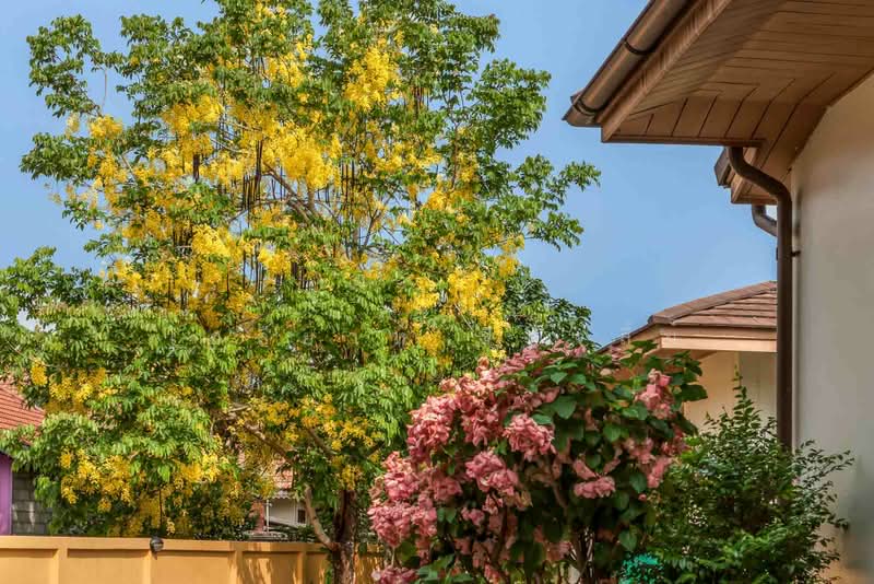 Mediterranean Luxury Estate For Sale in Rim Nua, Mae Rim, Chiang Mai, Rim Nua, Mae Rim, Chiang Mai, 5 Bedrooms, 600 sqm, Villa For Sale, by Elijah Ridgley, 500427599 - DDproperty.com