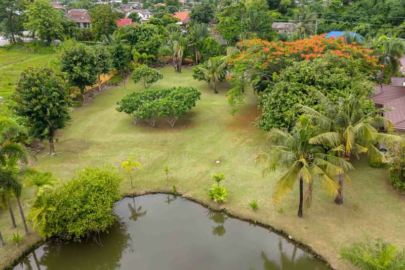 ขายคฤหาสน์หรูสไตล์เมดิเตอร์เรเนียน ริมเหนือ แม่ริม เชียงใหม่, เชียงใหม่, ริมเหนือ, แม่ริม, เชียงใหม่, 600 ตร.ม., วิลล่า ขาย, โดย เอลียาห์ ริดจ์ลี่ย์, 500427599 - DDproperty.com