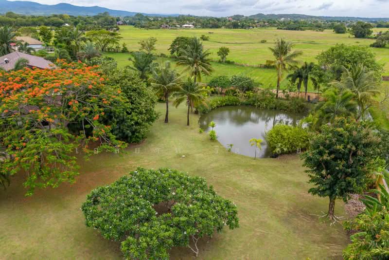 Mediterranean Luxury Estate For Sale in Rim Nua, Mae Rim, Chiang Mai, Rim Nua, Mae Rim, Chiang Mai, 5 Bedrooms, 600 sqm, Villa For Sale, by Elijah Ridgley, 500427599 - DDproperty.com