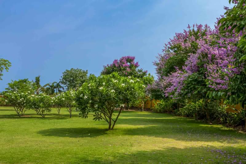 Mediterranean Luxury Estate For Sale in Rim Nua, Mae Rim, Chiang Mai, Rim Nua, Mae Rim, Chiang Mai, 5 Bedrooms, 600 sqm, Villa For Sale, by Elijah Ridgley, 500427599 - DDproperty.com