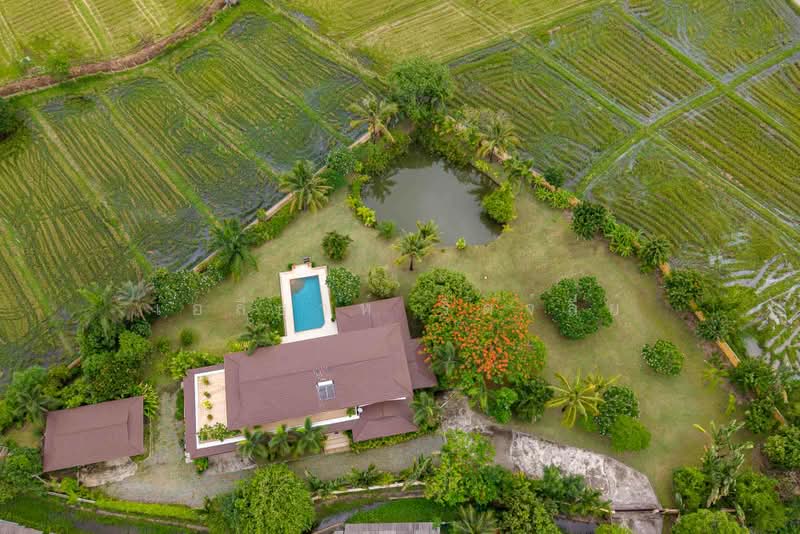Mediterranean Luxury Estate For Sale in Rim Nua, Mae Rim, Chiang Mai, Rim Nua, Mae Rim, Chiang Mai, 5 Bedrooms, 600 sqm, Villa For Sale, by Elijah Ridgley, 500427599 - DDproperty.com