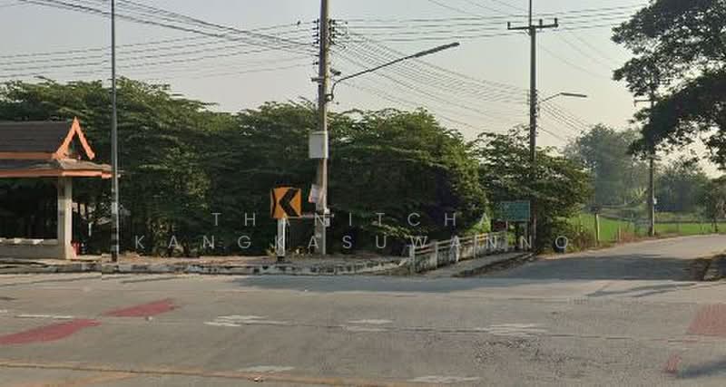 ที่ดินพุทธมณฑลสาย 8 นครชัยศรี, นครปฐม, ไทยาวาส, นครชัยศรี, นครปฐม, 2,020 ตร.ม., ที่ดิน ขาย, โดย Thanitcha Kangkasuwanno, 500427608 - DDproperty.com