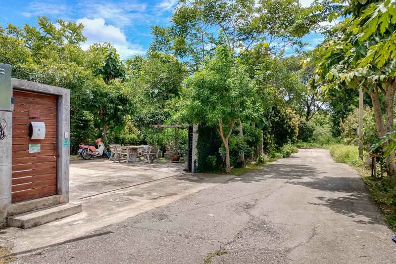 Contemporary Home with Ping River & Mountain Views - Rim Nua, Mae Rim, Chiang Mai, Rim Nua, Mae Rim, Chiang Mai, 3 Bedrooms, 300 sqm, Single Detached House For Sale, by Elijah Ridgley, 500427682 - DDproperty.com