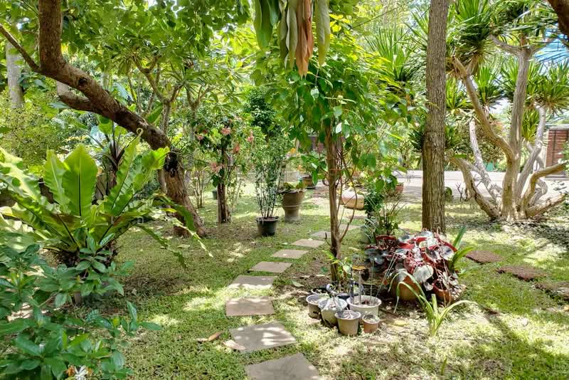 บ้านโมเดิร์นร่วมสมัย วิวแม่น้ำปิงและภูเขา - ต.ริมเหนือ อ.แม่ริม จ.เชียงใหม่, เชียงใหม่, ริมเหนือ, แม่ริม, เชียงใหม่, 300 ตร.ม., บ้านเดี่ยว ขาย, โดย เอลียาห์ ริดจ์ลี่ย์, 500427682 - DDproperty.com