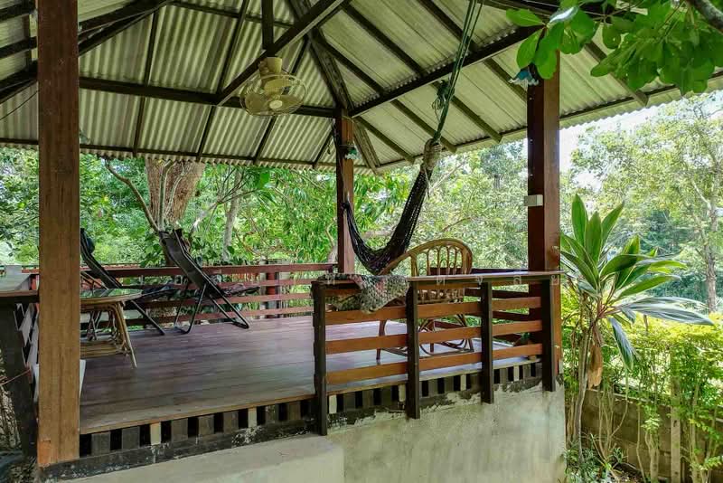 บ้านโมเดิร์นร่วมสมัย วิวแม่น้ำปิงและภูเขา - ต.ริมเหนือ อ.แม่ริม จ.เชียงใหม่, เชียงใหม่, ริมเหนือ, แม่ริม, เชียงใหม่, 300 ตร.ม., บ้านเดี่ยว ขาย, โดย เอลียาห์ ริดจ์ลี่ย์, 500427682 - DDproperty.com