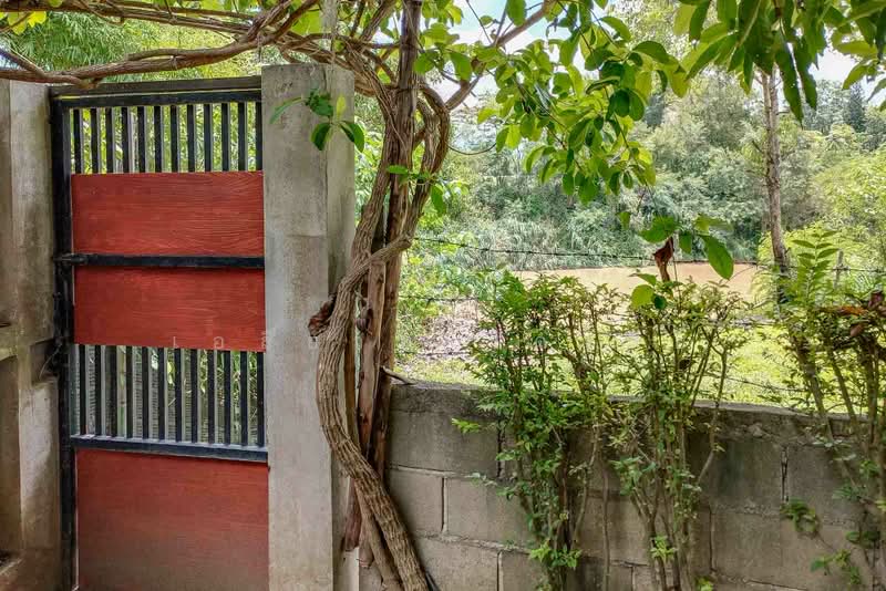 บ้านโมเดิร์นร่วมสมัย วิวแม่น้ำปิงและภูเขา - ต.ริมเหนือ อ.แม่ริม จ.เชียงใหม่, เชียงใหม่, ริมเหนือ, แม่ริม, เชียงใหม่, 300 ตร.ม., บ้านเดี่ยว ขาย, โดย เอลียาห์ ริดจ์ลี่ย์, 500427682 - DDproperty.com