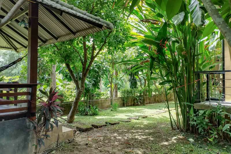 บ้านโมเดิร์นร่วมสมัย วิวแม่น้ำปิงและภูเขา - ต.ริมเหนือ อ.แม่ริม จ.เชียงใหม่, เชียงใหม่, ริมเหนือ, แม่ริม, เชียงใหม่, 300 ตร.ม., บ้านเดี่ยว ขาย, โดย เอลียาห์ ริดจ์ลี่ย์, 500427682 - DDproperty.com