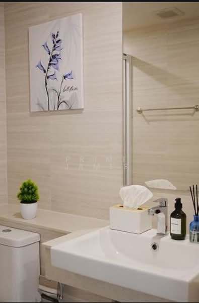 Phyll Phuket : ฟีล ภูเก็ต, ภูเก็ต, 9 หมู่ที่ 4 Muang Naka Rd, วิชิต, เมืองภูเก็ต, ภูเก็ต, 33 ตร.ม., คอนโด ให้เช่า, โดย Prime James, 500427716 - DDproperty.com