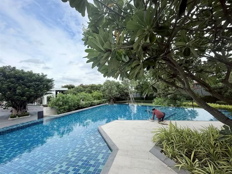 Siri Place Rangsit, Pathum Thani, Rangsit-Pathum Thani Road, Ban Klang, Muang Pathum Thani, Pathum Thani, 3 Bedrooms, 100 sqm, Townhouse For Sale, by คุณ ปทิตตา รักษ์เจริญ (เจี๊ยบ), 500427807 - DDproperty.com