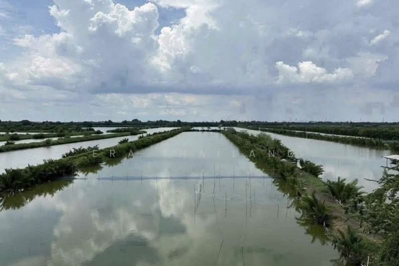 ขาย ที่ดินแปลงใหญ่ 38.5 ไร่ ทำเลศักยภาพ ติดถนนทางหลวงชนบท สป.4010 (ถนนเลียบคลองสรรพสารมิต), สมุทรปราการ, นาเกลือ, พระสมุทรเจดีย์, สมุทรปราการ, 61,600 ตร.ม., ที่ดิน ขาย, โดย ERA Thailand, 500427848 - DDproperty.com