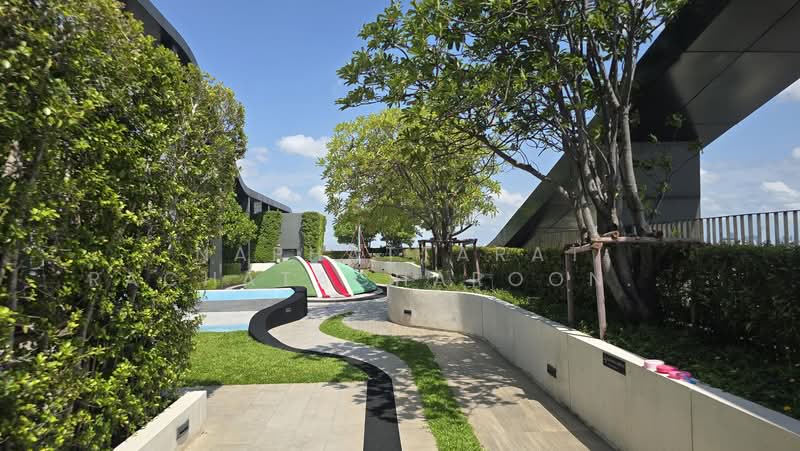 The Line Wongsawang, Bangkok, 1333 Bangkok - Nonthaburi Rd., Wong Sawang, Bang Sue, Bangkok, 1 Bedroom, 32 sqm, Condo For Rent, by Naphattarat Rachatacharoonrut (NATTY), 500427949 - DDproperty.com