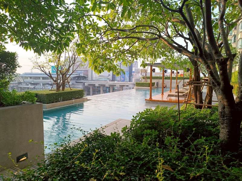 U Delight Rattanathibet : ยู ดีไลท์ รัตนาธิเบศร์, นนทบุรี, ถนนรัตนาธิเบศร์ ตำบลบางกระสอ อำเภอเมืองนนทบุรี นนทบุรี, บางกระสอ, เมืองนนทบุรี, นนทบุรี, 30 ตร.ม., คอนโด ขาย, โดย ประเสริฐศักดิ์ นาคสกุล, 500427978 - DDproperty.com