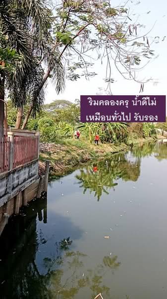 ที่ดินเปล่า ซ.กาญจนาภิเษก 11/5, กรุงเทพ, คันนายาว, กรุงเทพ, 25,632 ตร.ม., ที่ดิน ขาย, โดย ธัญพัฒน์ วิวิธวรรธ์, 500428057 - DDproperty.com