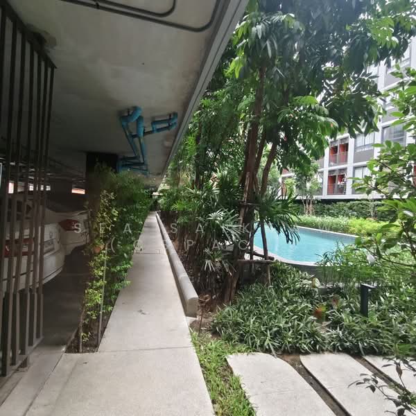 The Muve Bangna, Samut Prakan, 41 Premruetai Lock 10 Alley, Bangphli Yai, Bang Plee, Samut Prakan, 2 Bedrooms, 50 sqm, Condo For Rent, by Sea Saikeaw, 500428079 - DDproperty.com