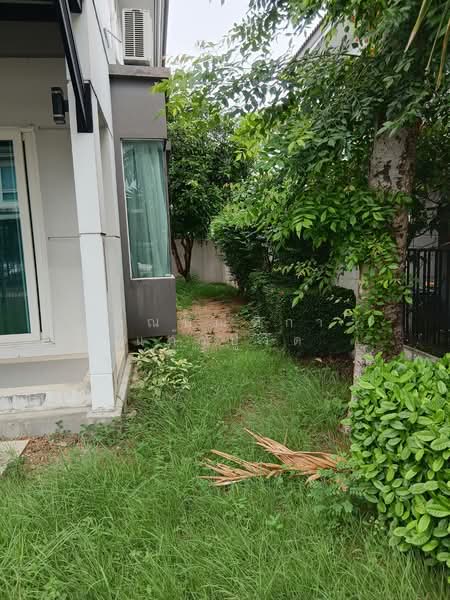บ้านเช่าพุทธมณฑลสาย5 หมู่บ้านชัยพฤกษ์ปิ่นเกล้า, Nakhon Pathom, Bang Toei, Sam Phran, Nakhon Pathom, 3 Bedrooms, 520 sqm, Single Detached House For Rent, by ทัณฑิกา แก้วปู่วัด, 500428107 - DDproperty.com