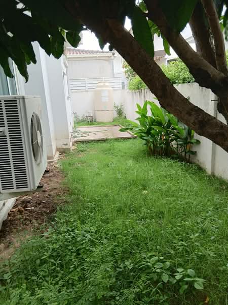 บ้านเช่าพุทธมณฑลสาย5 หมู่บ้านชัยพฤกษ์ปิ่นเกล้า, นครปฐม, บางเตย, สามพราน, นครปฐม, 520 ตร.ม., บ้านเดี่ยว ให้เช่า, โดย คุณทัณฑิกา แก้วปู่วัด, 500428107 - DDproperty.com