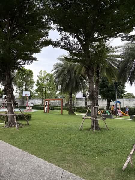 Baan Klang Muang Kalpapruek : บ้านกลางเมือง กัลปพฤกษ์, กรุงเทพ, ถนนศาลธนบุรี, บางหว้า, ภาษีเจริญ, กรุงเทพ, 66 ตร.ม., ทาวน์เฮ้าส์ ขาย, โดย Itthiwat Chulaolan, 500428110 - DDproperty.com