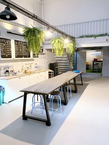 ไม่พบโครงการ, Bangkok, วิภาวดีรังสิต พหลโยธิน 31-39, Lat Yao, Chatuchak, Bangkok, 4 Bedrooms, 400 sqm, Townhouse For Rent, by ณัฐพงศ์ สุนทรอรุณ, 500428214 - DDproperty.com