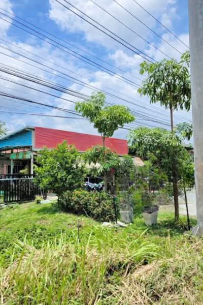 ไม่พบโครงการ, Udon Thani, ถ.มิตรภาพ, Na Kha, Muang Udon Thani, Udon Thani, , 104,000 sqm, Land For Rent, by ณัฐพงศ์ สุนทรอรุณ, 500428216 - DDproperty.com
