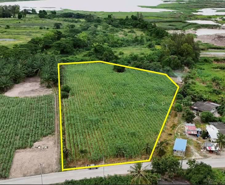 8 rai of land for sale in Khlong Kiu, adjacent to a concrete road and Nong Nam Khiao Reservoir,, Chon Buri (Pattaya), Khlong Kiu, Ban Bung, Chon Buri (Pattaya), , 12,960 sqm, Land For Sale, by RICHWELL INTERPLUS, 500428243 - DDproperty.com