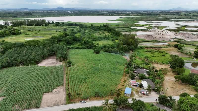 8 rai of land for sale in Khlong Kiu, adjacent to a concrete road and Nong Nam Khiao Reservoir,, Chon Buri (Pattaya), Khlong Kiu, Ban Bung, Chon Buri (Pattaya), , 12,960 sqm, Land For Sale, by RICHWELL INTERPLUS, 500428243 - DDproperty.com