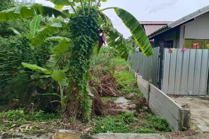 ที่ดินเปล่า เนื้อที่ 46.6 ตร.ว. ซอยคู้บอน 25 แยก 2, ใกล้ BTS คู้บอน, กรุงเทพ, รามอินทรา, คันนายาว, กรุงเทพ, 184 ตร.ม., ที่ดิน ขาย, โดย ชนะชาติ นนท์ตา, 500428272 - DDproperty.com
