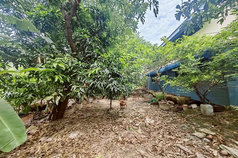 ขายที่ดิน 213 ตรว. ถนนสามัคคี-ติวานนท์ ซอยสามัคคี 26 นนทบุรี ทำเลศักยภาพ เข้า-ออกได้ทั้งถนนประชาชื่น, นนทบุรี, ถนนสามัคคี-ติวานนท์, ท่าทราย, เมืองนนทบุรี, นนทบุรี, 892 ตร.ม., ที่ดิน ขาย, โดย คุณเจษ, 500428284 - DDproperty.com