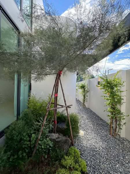Baan Wang Tan : บ้าน วัง ตาล, เชียงใหม่, แม่เหียะ, เมืองเชียงใหม่, เชียงใหม่, 296 ตร.ม., บ้านเดี่ยว ขาย, โดย Tanannat Porntadapattanayothin, 500428484 - DDproperty.com