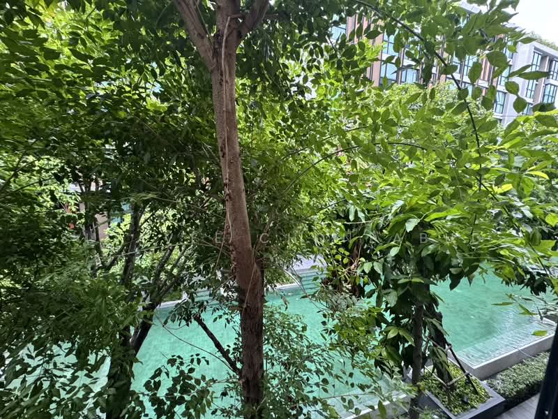 Vtara Sukhumvit 36 : วีธารา สุขุมวิท 36, กรุงเทพ, 118 ซอยแสนสบาย, พระโขนง, คลองเตย, กรุงเทพ, 66 ตร.ม., คอนโด ให้เช่า, โดย Sutavee Chonlabud, 500428696 - DDproperty.com