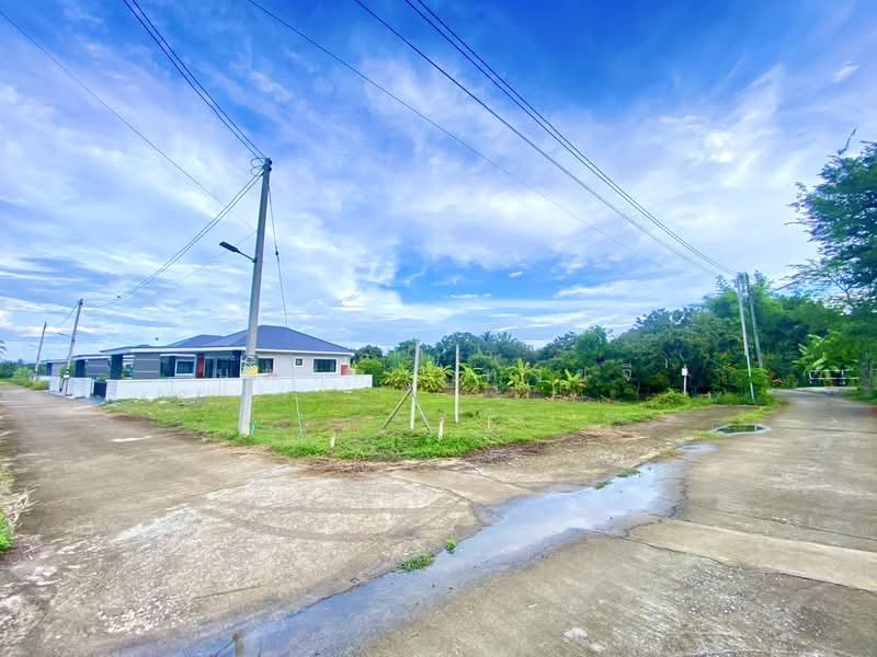 ที่ดินสารภี 100 ตรว. (ห่างสนามบิน 19 กม.), เชียงใหม่, ชลประทาน, สันทราย, สารภี, เชียงใหม่, 400 ตร.ม., ที่ดิน ขาย, โดย นพเก้า ทุ่งขจี, 500428719 - DDproperty.com