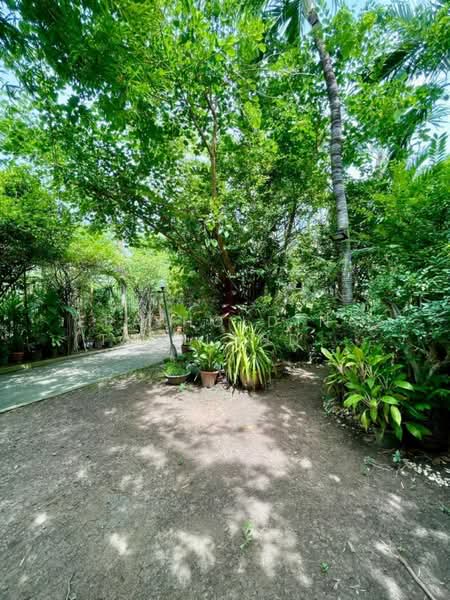 ขายด่วน บ้านเดี่ยวดีไซน์พิเศษ, กรุงเทพ, สายไหม, กรุงเทพ, 250 ตร.ม., บ้านเดี่ยว ขาย, โดย ERA Holding (Thailand) Co., Ltd., 500428756 - DDproperty.com