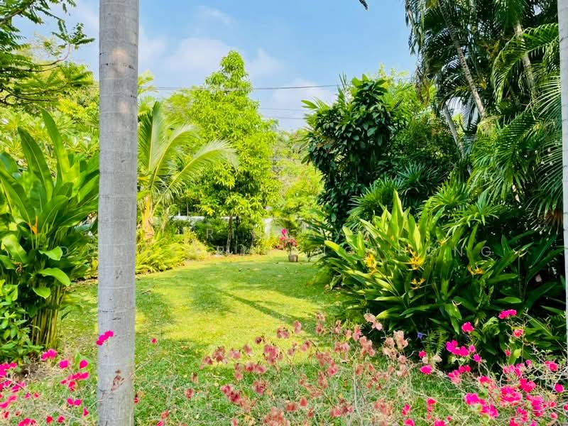 บ้าน 3-ห้องนอน, กรุงเทพ, ประเวศ, กรุงเทพ, 500 ตร.ม., บ้านเดี่ยว ให้เช่า, โดย Trinnaya Dungsirisangthong, 500428807 - DDproperty.com