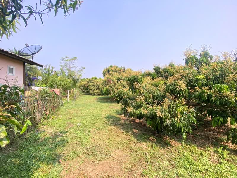 Land adjacent to the Khan River, 182 sq. wah (excellent atmosphere), Chiang Mai, Tha Wang Phraw, San Pa Tong, Chiang Mai, , 728 sqm, Land For Sale, by นพเก้า ทุ่งขจี, 500428814 - DDproperty.com
