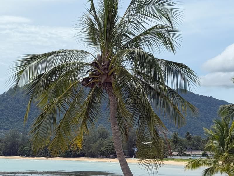 ที่ดินเปล่า ใกล้ท่าเรือราชาเฟอรี่ หาดลิปะน้อย, Surat Thani, Lipa Noi, Ko Samui, Surat Thani, , 360 sqm, Land For Sale, by Wella Holmes, 500428853 - DDproperty.com
