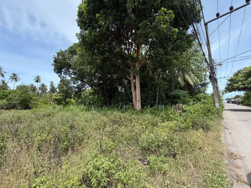 ที่ดินเปล่า ใกล้ท่าเรือราชาเฟอรี่ หาดลิปะน้อย, Surat Thani, Lipa Noi, Ko Samui, Surat Thani, , 360 sqm, Land For Sale, by Wella Holmes, 500428853 - DDproperty.com