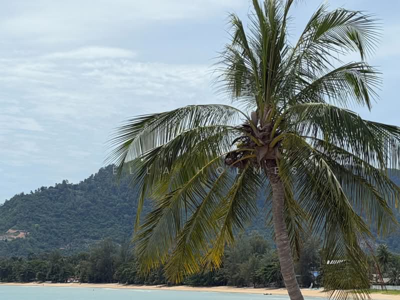 ที่ดินเปล่า ใกล้ท่าเรือราชาเฟอรี่ หาดลิปะน้อย, Surat Thani, Lipa Noi, Ko Samui, Surat Thani, , 360 sqm, Land For Sale, by Wella Holmes, 500428853 - DDproperty.com