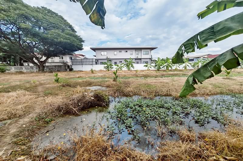 ซอยร่มเย็น, Pathum Thani, ถนนพัฒนสัมพันธ์, Bang Prok, Muang Pathum Thani, Pathum Thani, , 2,012 sqm, Land For Sale, by คุณเจษ, 500428913 - DDproperty.com