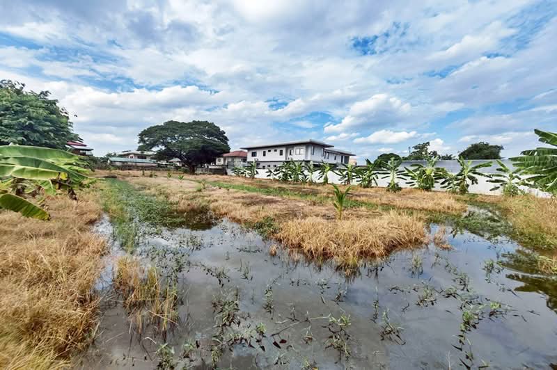 ซอยร่มเย็น, ปทุมธานี, ถนนพัฒนสัมพันธ์, บางปรอก, เมืองปทุมธานี, ปทุมธานี, 2,012 ตร.ม., ที่ดิน ขาย, โดย คุณเจษ, 500428913 - DDproperty.com