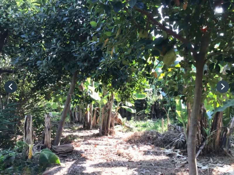 ที่ดินบ้านเกาะ อุตรดิตถ์, Uttaradit, Ban Ko, Muang Uttaradit, Uttaradit, , 788 sqm, Land For Sale, by The Best Property เล็ก, 500428921 - DDproperty.com
