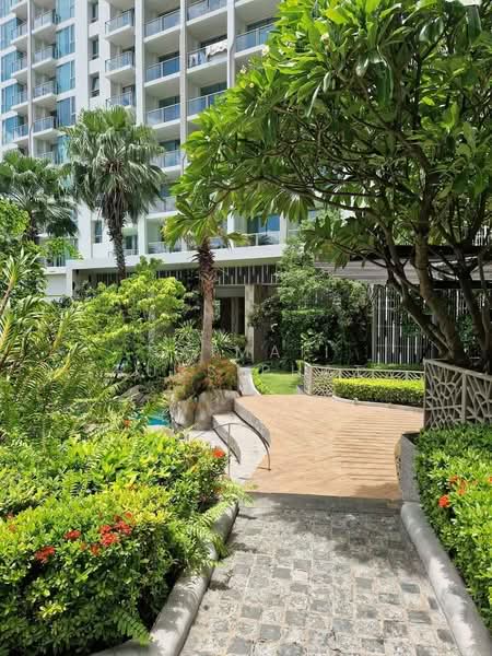 The Riviera Jomtien, Chon Buri (Pattaya), Pattaya Sai 2 Road, Nong Pru, Bang Lamung (Pattaya), Chon Buri (Pattaya), Studio, 32 sqm, Condo For Sale, by Saimaii Russiphat, 500428983 - DDproperty.com