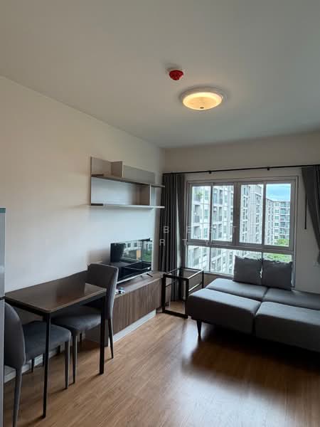 Dcondo Bliss Sriracha, Chon Buri (Pattaya), 98 Sukhumvit Road, Si Racha, Chon Buri (Pattaya), 1 Bedroom, 26 sqm, Condo For Sale, by The Best Property ยุ้ย, 500429006 - DDproperty.com