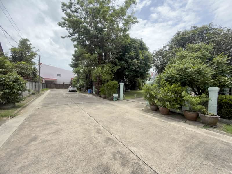 Mantana Chimphli, Bangkok, บรมราชชน, Chim Plee, Taling Chan, Bangkok, 6 Bedrooms, 330 sqm, Single Detached House For Sale, by บริษัท เอชแอล แอสเซท จำกัด, 500429119 - DDproperty.com