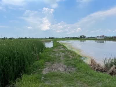ขาย - ที่ดินบางน้ำเปรี้ยว ฉะเชิงเทรา, ฉะเชิงเทรา