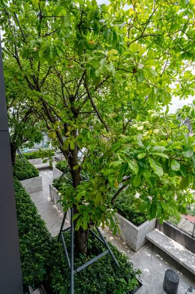 BEATNIQ Sukhumvit 32, Bangkok, Soi Sukhumvit 32, Sukhumvit Road, Khong Tan, Khlong Toei, Bangkok, 1 Bedroom, 43 sqm, Condo For Sale, by Tangmo Sijirat, 500429225 - DDproperty.com