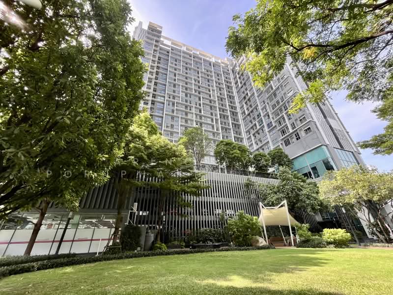 IDEO MOBI Sukhumvit 81 : ไอดีโอ โมบิ สุขุมวิท 81, กรุงเทพ, 2097 ถนนสุขุมวิท แขวงบางจาก เขตพระโขนง กรุงเทพมหานคร, บางจาก, พระโขนง, กรุงเทพ, 31 ตร.ม., คอนโด ให้เช่า, โดย Arinchaya Pornphakdeewattana, 500429227 - DDproperty.com